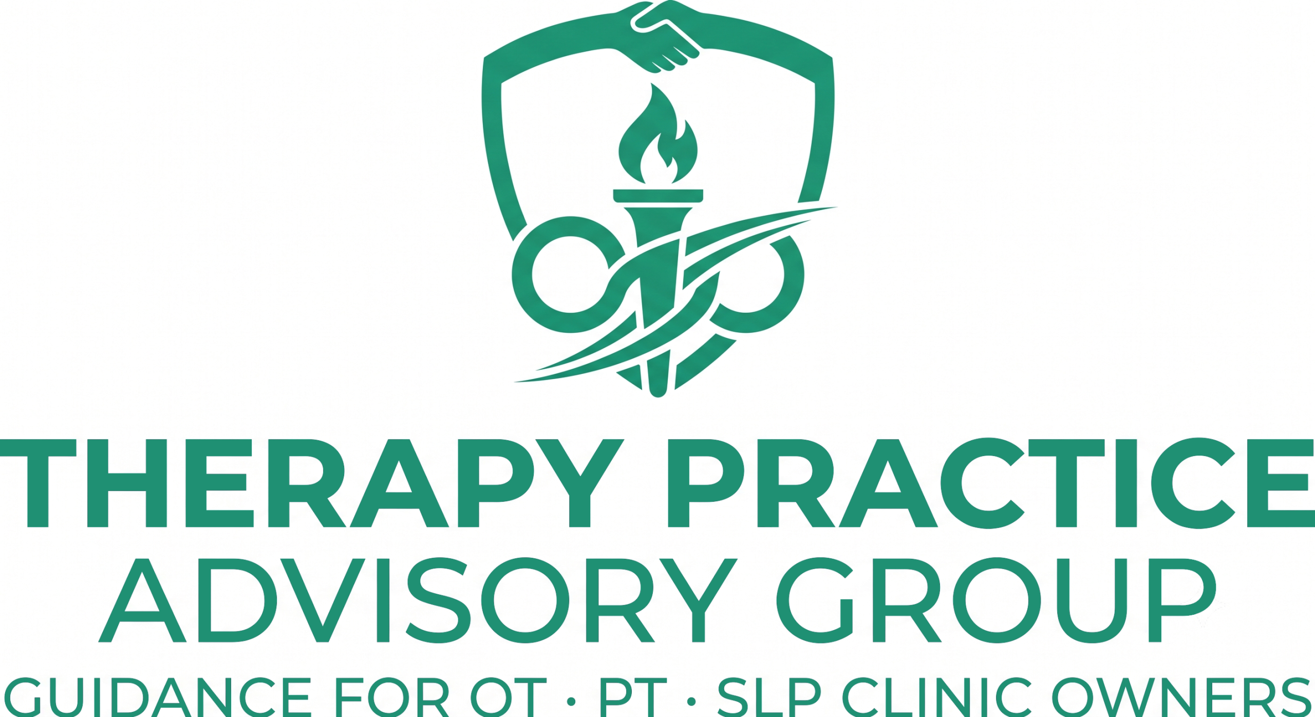 Therapy Practice Advisory Group